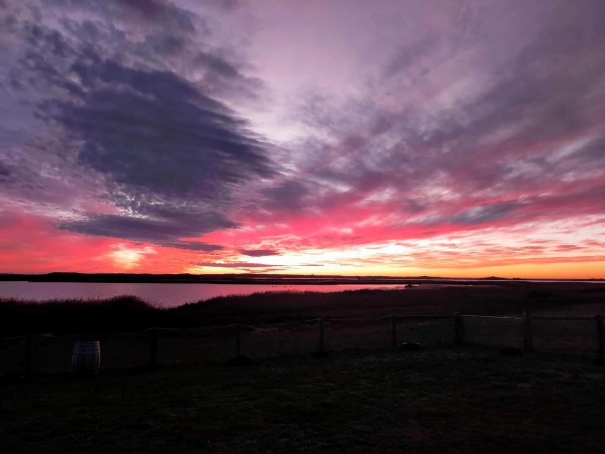 Coorong Island Retreat - Farm Stay At Pet Friendly Property Meningie Eksteriør billede